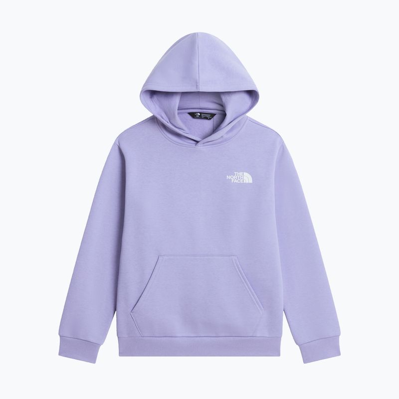 Bluza dziecięca The North Face Evolution Box NSE Pullover Hoodies pale plum 7