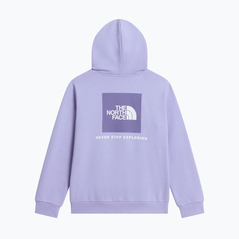 Bluza dziecięca The North Face Evolution Box NSE Pullover Hoodies pale plum 8