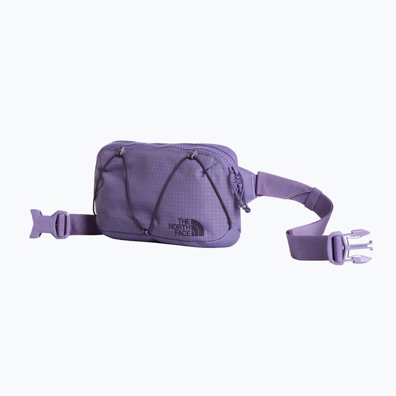 Saszetka nerka The North Face Terra Lumbar 1 l grounded plum/endless 2