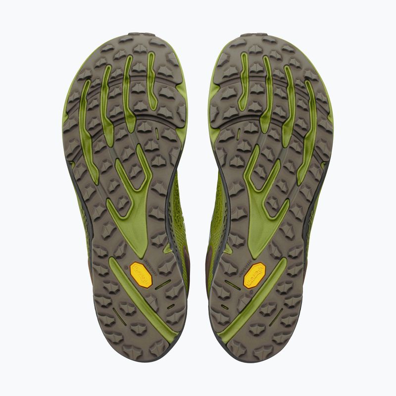 Buty do biegania męskie Altra Timp 6 GTX Iguana/Silver 4