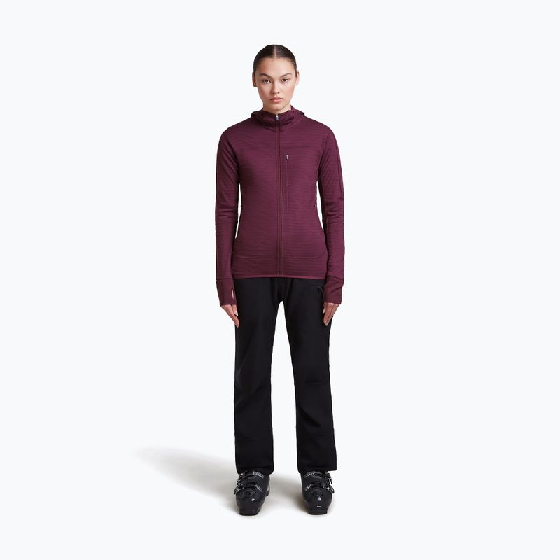 Bluza trekkingowa damska Icebreaker Merino 300 Realfleece Descender Zip Hoodie dark berry 2