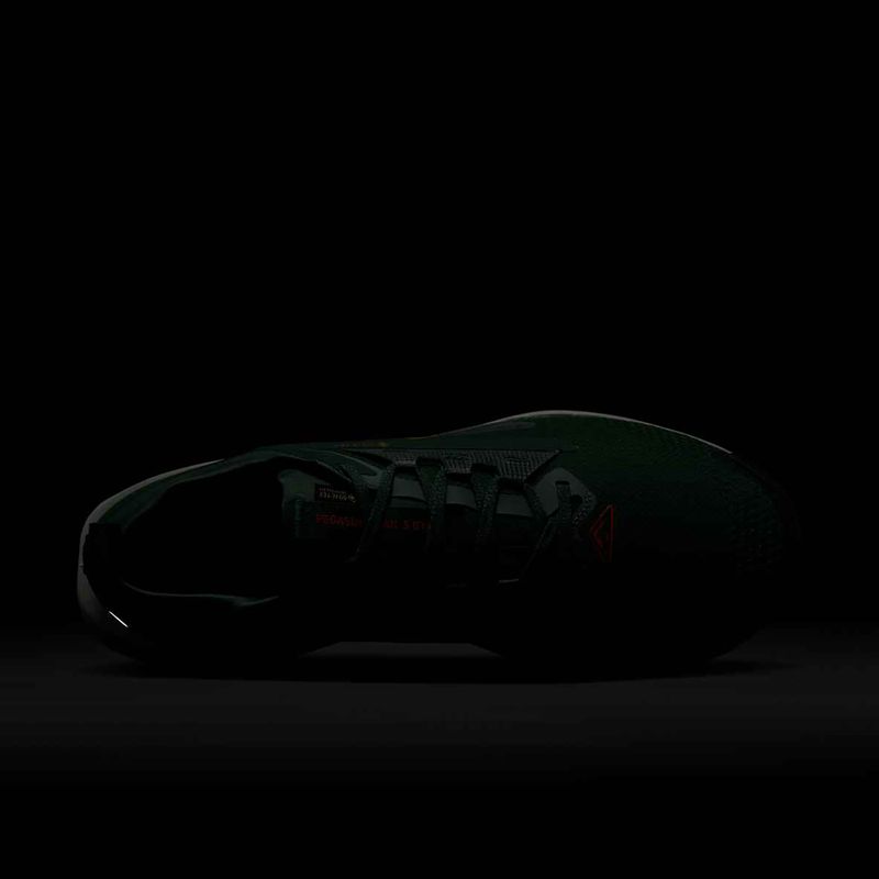 Buty do biegania męskie Nike Pegasus Trail 5 GORE-TEX fir/bright crimson/clay green 10