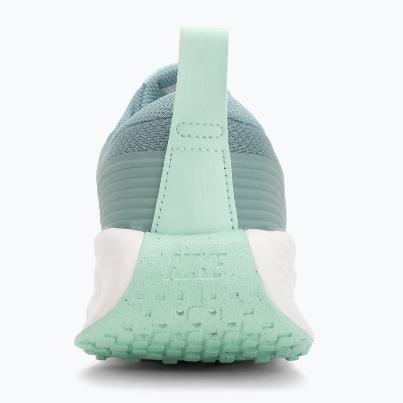 Buty damskie Nike Promina cannon/mint foam/summit white 6