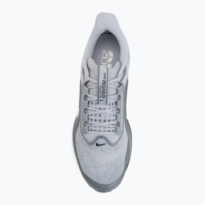 Buty do biegania męskie Nike Pegasus Premium wolf grey/cool grey/anthracite/sail 5