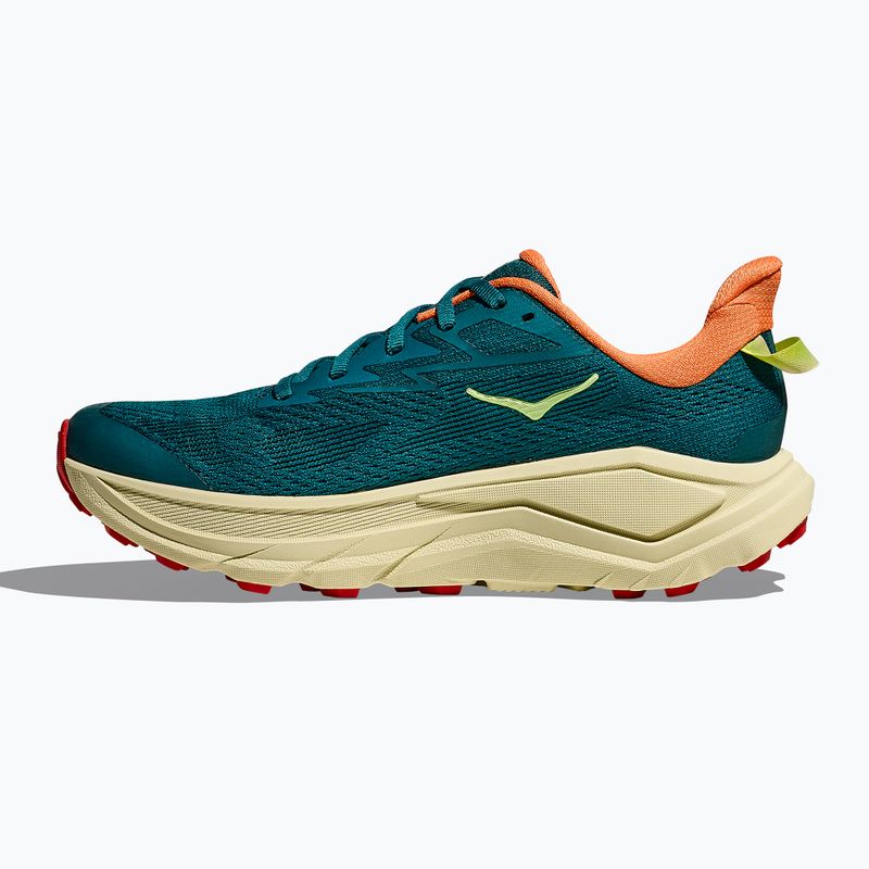Buty do biegania damskie HOKA Challenger 8 tidal wave/pampas grass 4