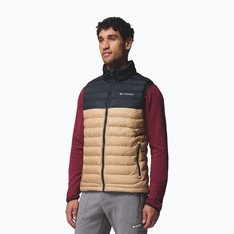 Bezrękawnik męski Columbia Powder Lite II canoe/black 3