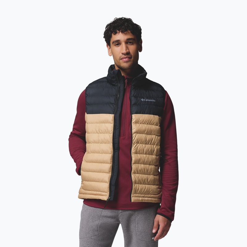 Bezrękawnik męski Columbia Powder Lite II canoe/black 5