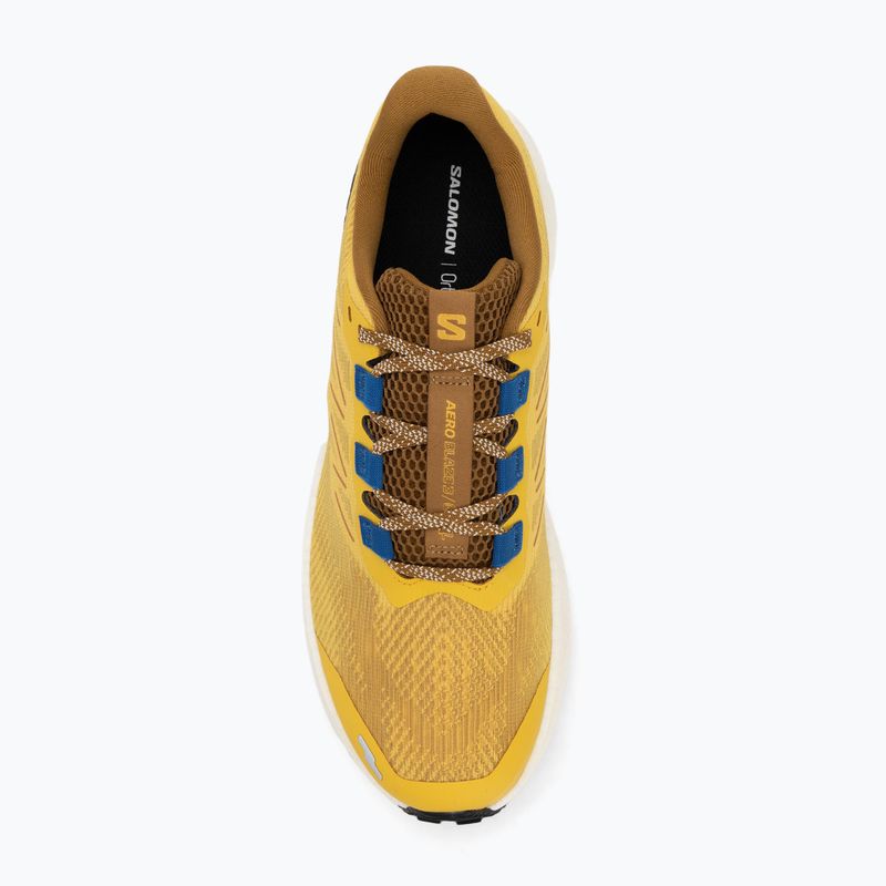 Buty do biegania męskie Salomon Aero Blaze 3 GRVL spicy mustard/vanilla ice/nautical blue 5