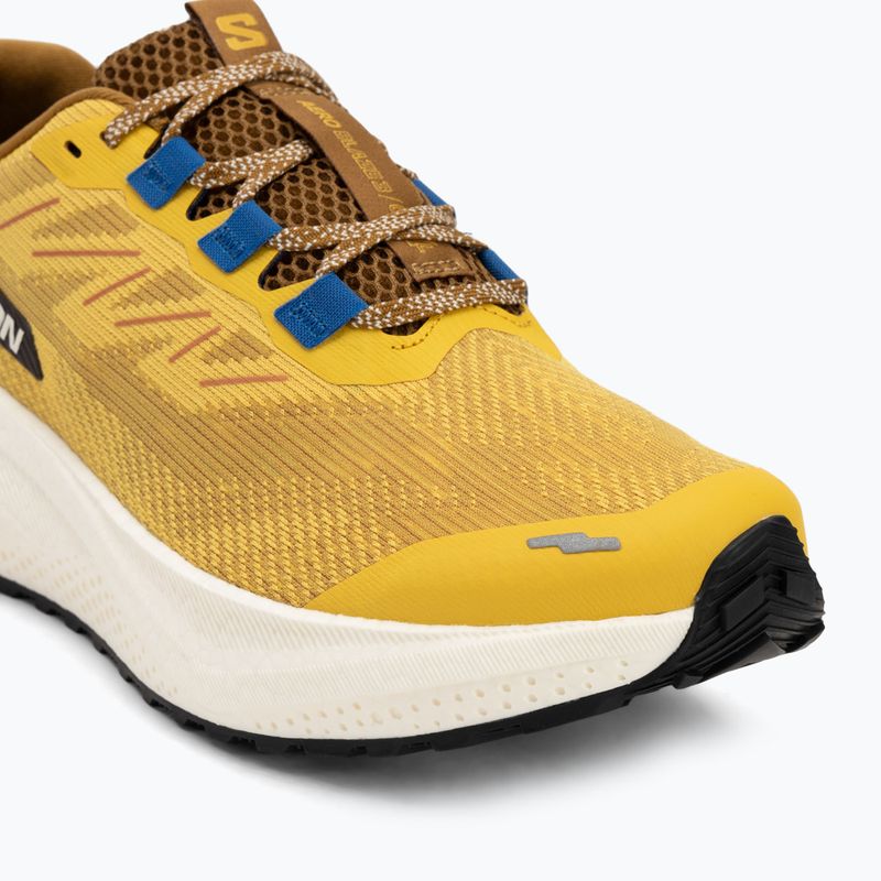 Buty do biegania męskie Salomon Aero Blaze 3 GRVL spicy mustard/vanilla ice/nautical blue 7