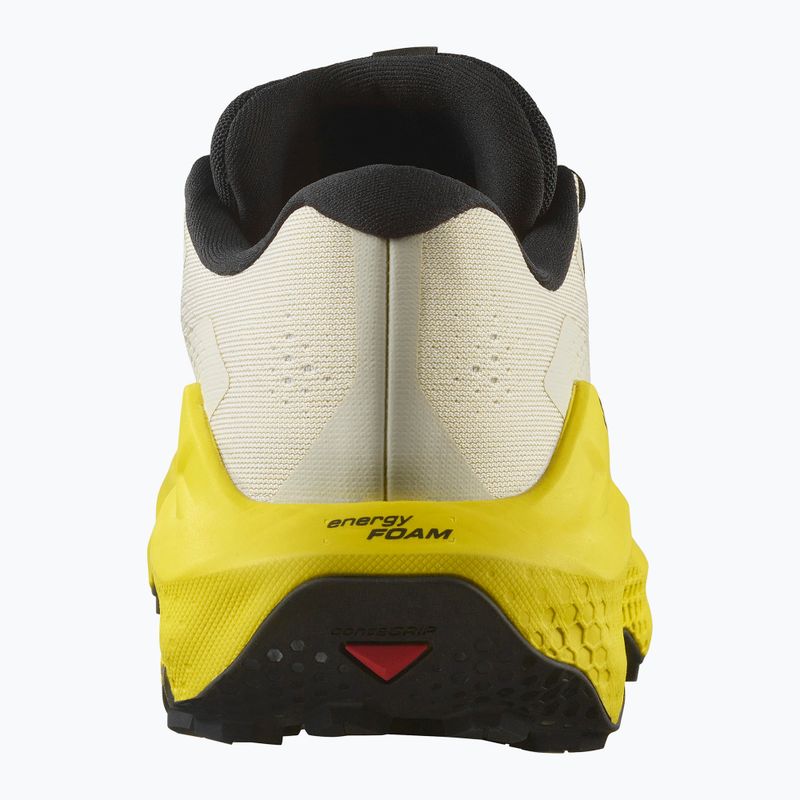 Buty do biegania męskie Salomon Ultra Glide 3 almond milk/incaberry/black 4