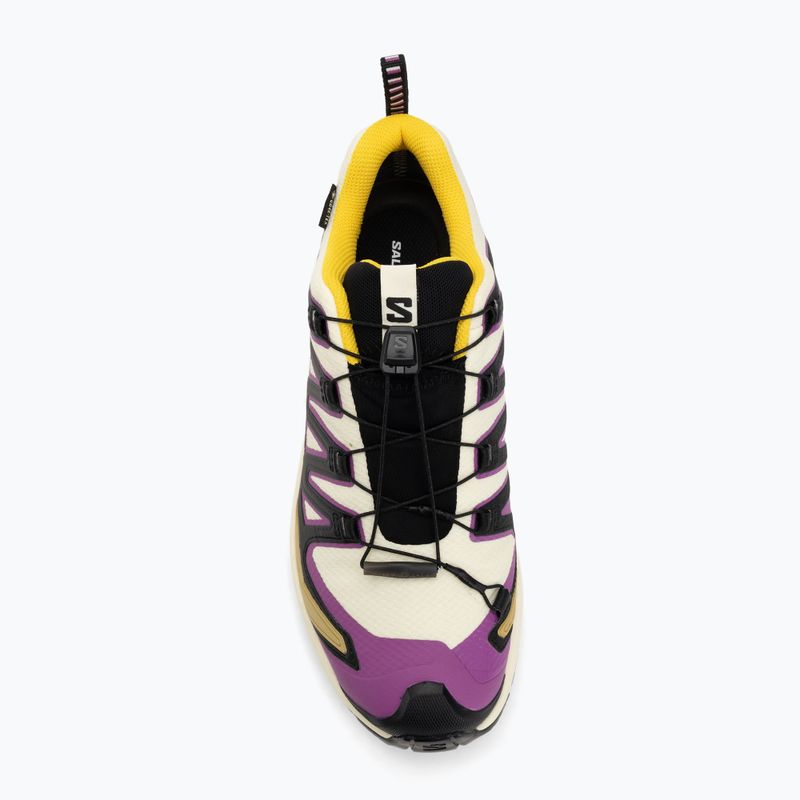 Buty do biegania męskie Salomon XA PRO 3D V9 GTX transparent yellow/black/waterfall 5