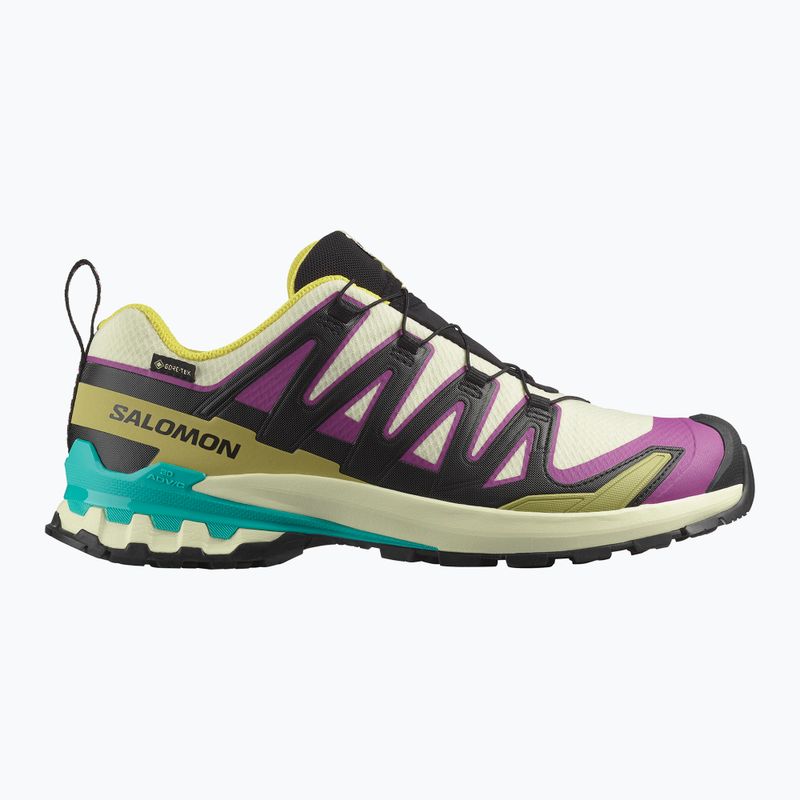 Buty do biegania męskie Salomon XA PRO 3D V9 GTX transparent yellow/black/waterfall 8