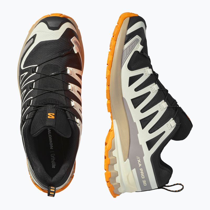 Buty do biegania męskie Salomon XA PRO 3D V9 GTX black/vanilla ice/turmeric 12
