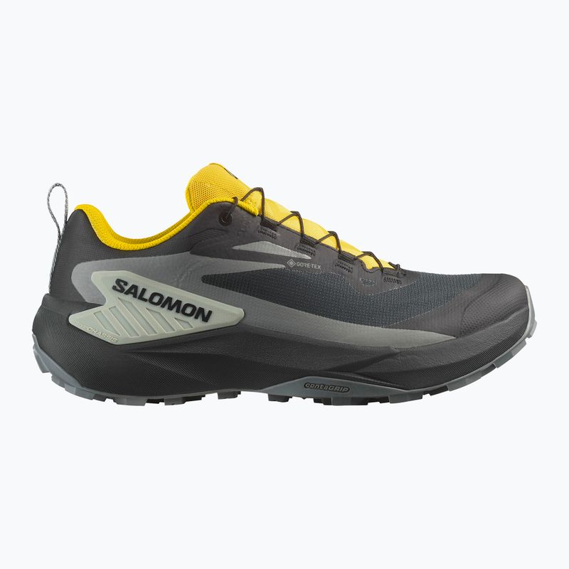 Buty do biegania męskie Salomon Genesis GTX black/sedona sage/incaberry 9
