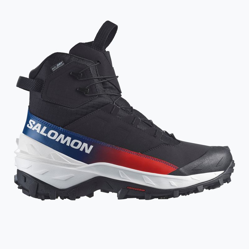 Buty trekkingowe męskie Salomon Crosstrak Powder WP Equipe black/black