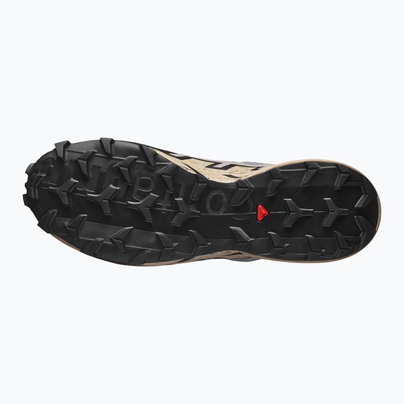 Buty do biegania męskie Salomon Speedcross 6 GTX gull/white pepper/black 5