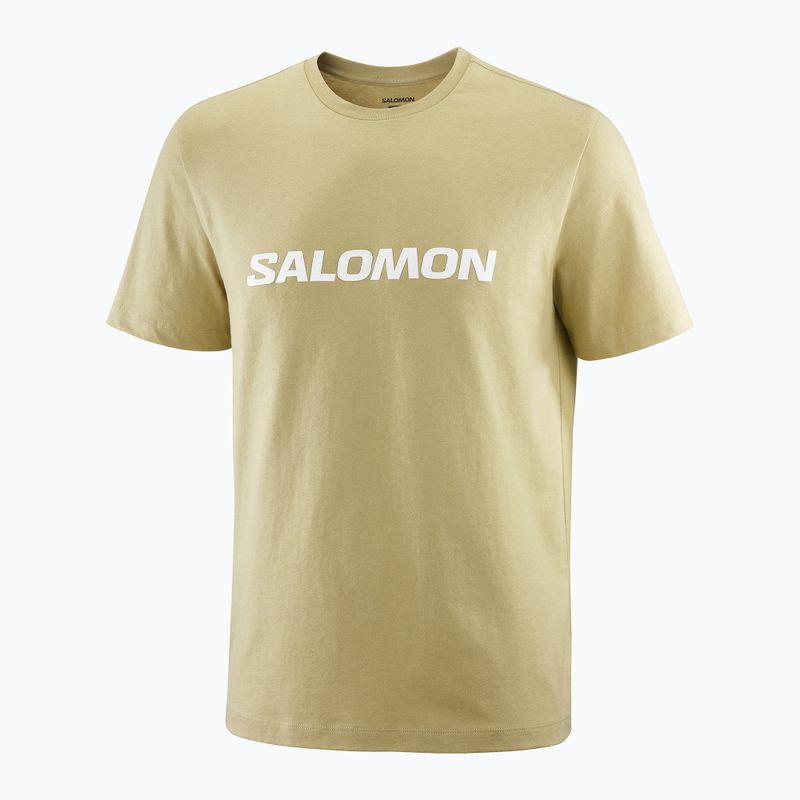 Koszulka męska Salomon Logo gray green 3