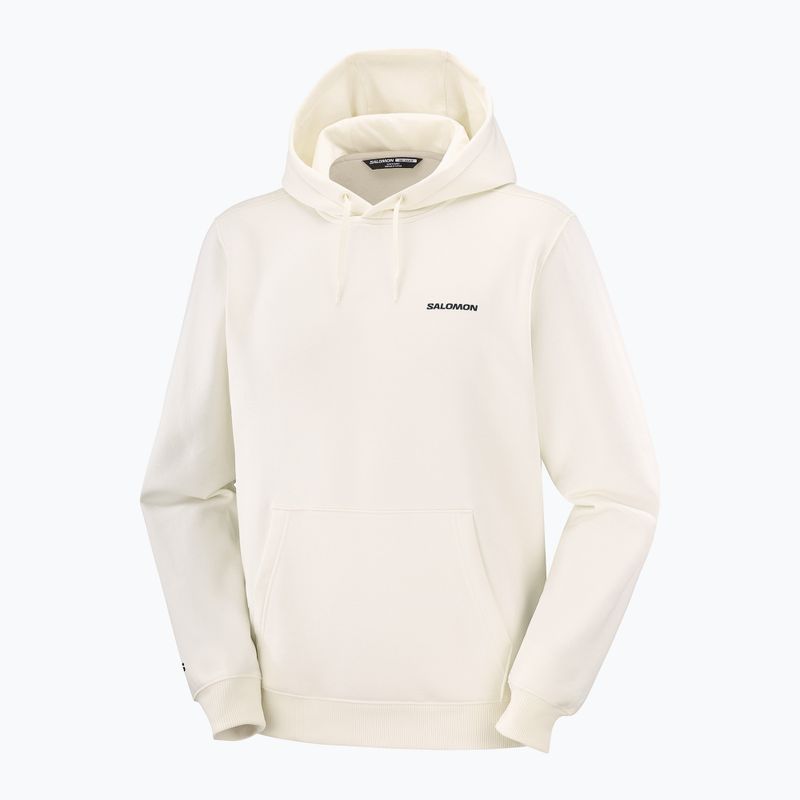 Bluza męska Salomon Chest Logo Hoodie whisper white 5