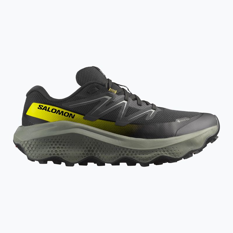Buty do biegania męskie Salomon Ultra Flow 2 GTX black/sedona sage/incaberry 8