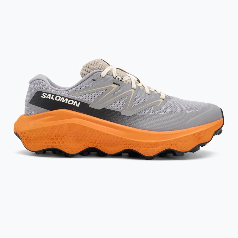 Buty do biegania męskie Salomon Ultra Flow 2 GTX gull/turmeric/white pepper 2