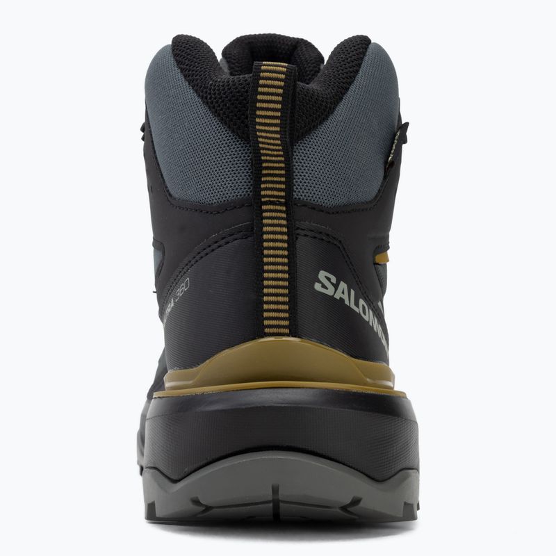 Buty trekkingowe męskie Salomon X Ultra 360 MID GTX urban chic/black 6