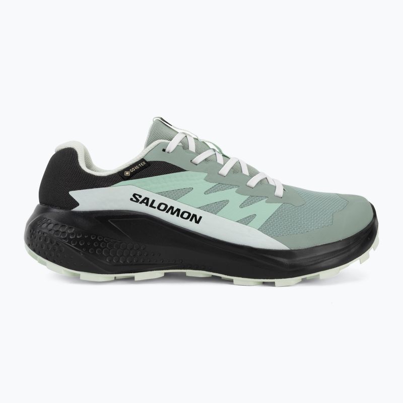 Buty do biegania damskie Salomon Alphaglide GTX green milieu/asphalt 2