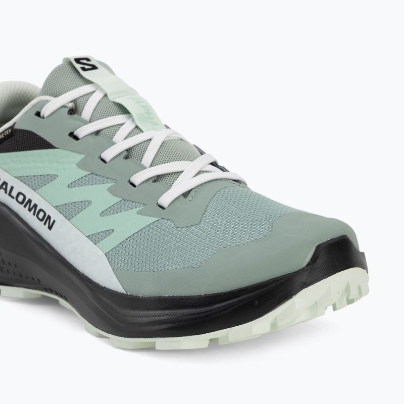 Buty do biegania damskie Salomon Alphaglide GTX green milieu/asphalt 7