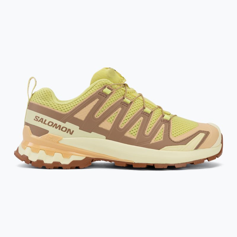Buty do biegania damskie Salomon XA Pro 3D V9 endive/burro/almond cream 2