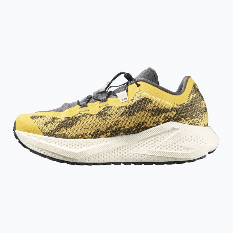 Buty do biegania męskie Salomon Aero Glide 4 GRVL beach ball/asphalt/vanilla ice 3