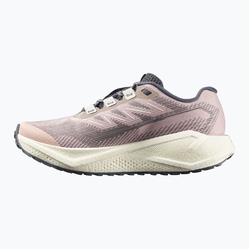 Buty do biegania damskie Salomon Aero Blaze 3 GRVL shadow gray/vanilla ice/9iron 3