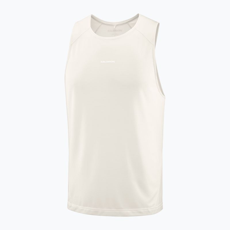 Koszulka męska Salomon Shakeout Core whisper white 3