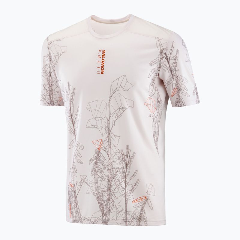 Koszulka do biegania męska Salomon S/Lab Ultra Tee Aop lilac ash 4