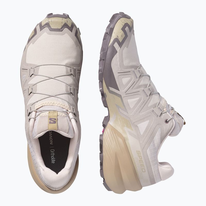 Buty do biegania męskie Salomon Speedcross 6 silver cloud/paloma 4