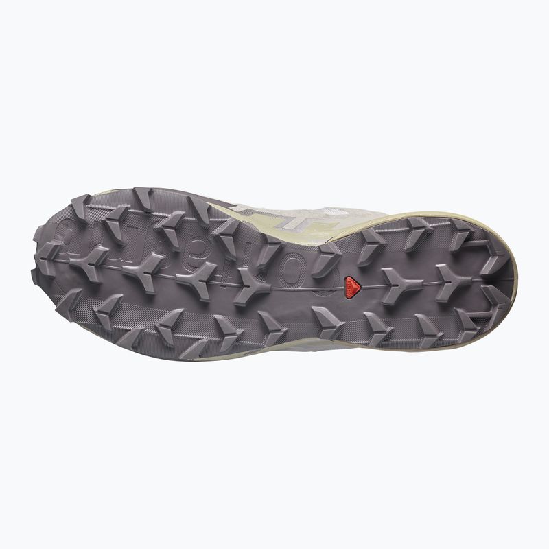 Buty do biegania męskie Salomon Speedcross 6 silver cloud/paloma 5