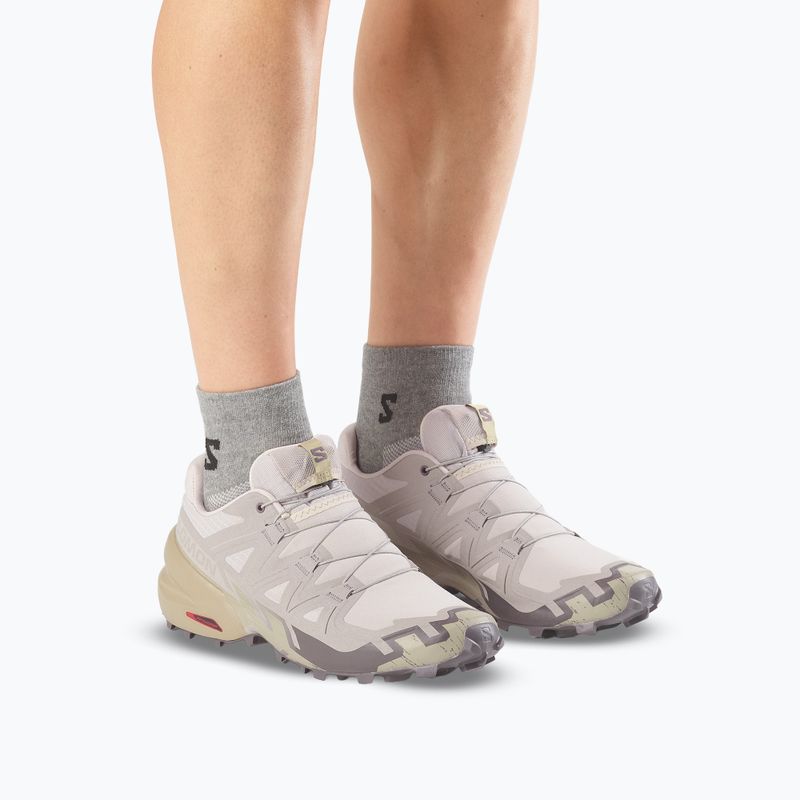 Buty do biegania męskie Salomon Speedcross 6 silver cloud/paloma 6
