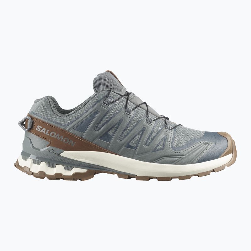 Buty do biegania męskie Salomon XA Pro 3D V9 GTX Lifelong sedona sage/coyote brown