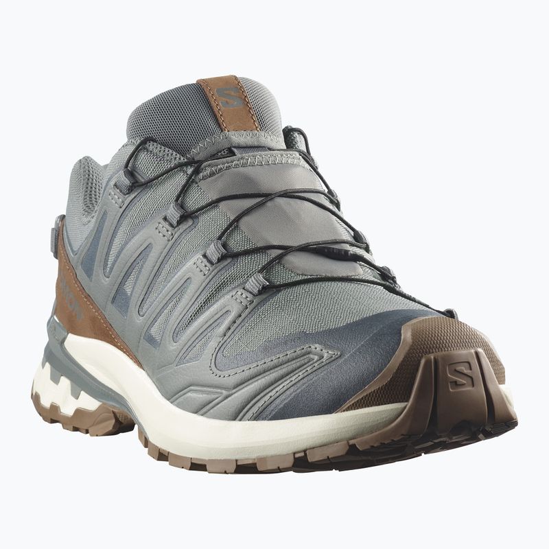 Buty do biegania męskie Salomon XA Pro 3D V9 GTX Lifelong sedona sage/coyote brown 2