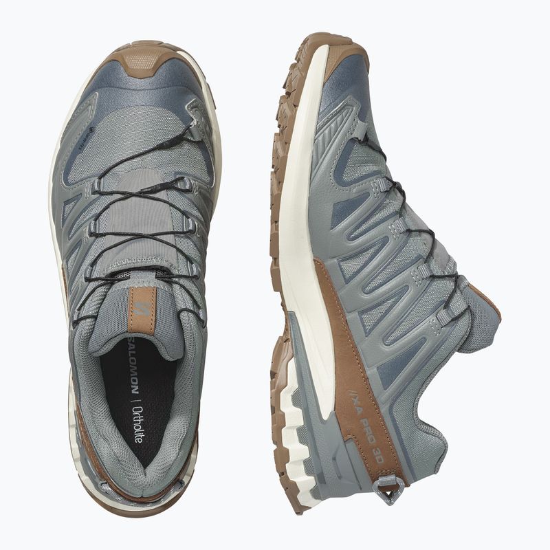 Buty do biegania męskie Salomon XA Pro 3D V9 GTX Lifelong sedona sage/coyote brown 3