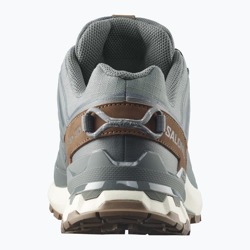 Buty do biegania męskie Salomon XA Pro 3D V9 GTX Lifelong sedona sage/coyote brown 5
