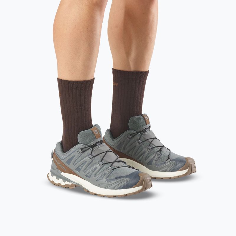 Buty do biegania męskie Salomon XA Pro 3D V9 GTX Lifelong sedona sage/coyote brown 6