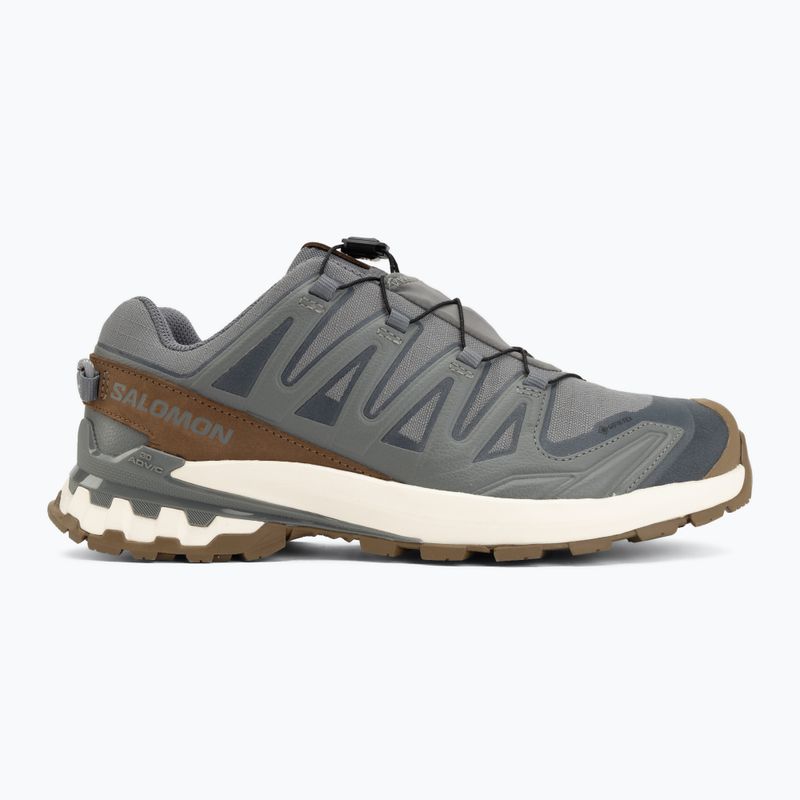 Buty do biegania męskie Salomon XA Pro 3D V9 GTX Lifelong sedona sage/coyote brown 2