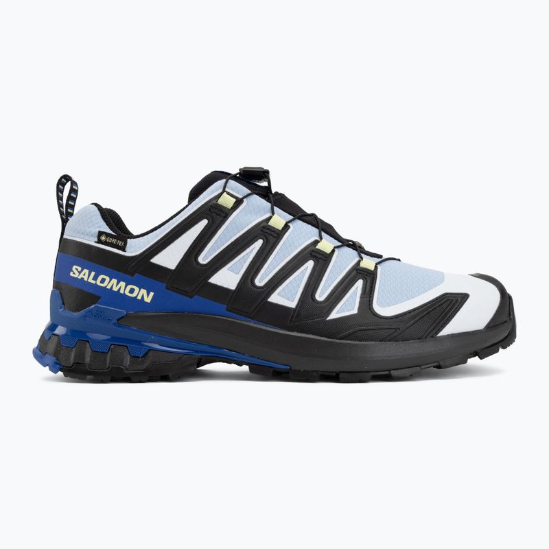 Buty do biegania męskie Salomon XA Pro 3D V9 GTX Icon black/brunnera blue 2