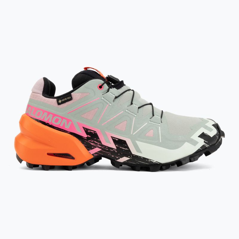 Buty do biegania damskie Salomon Speedcross 6 GTX Icon black/green milieu 2