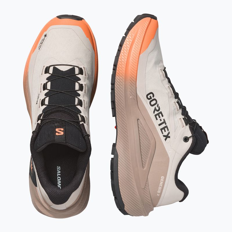 Buty do biegania damskie Salomon Genesis 2 GTX rainy day/desert tan 3