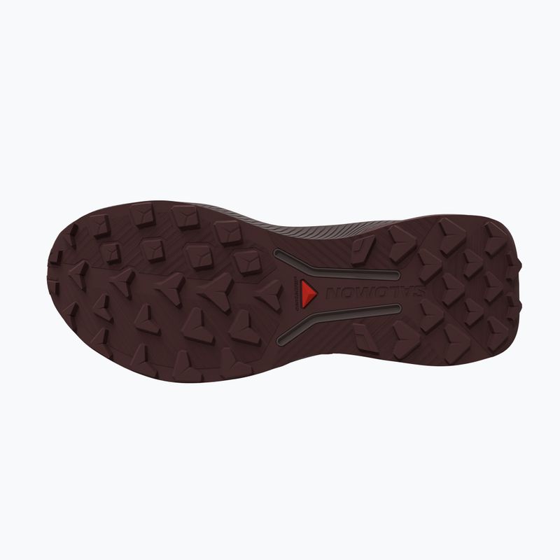 Buty do biegania męskie Salomon Genesis 2 vanilla ice/iron 3