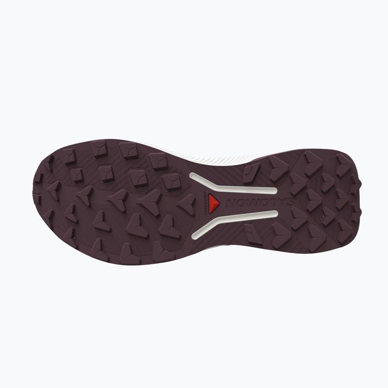 Buty do biegania damskie Salomon Genesis 2 vanilla ice/huckleberry 4