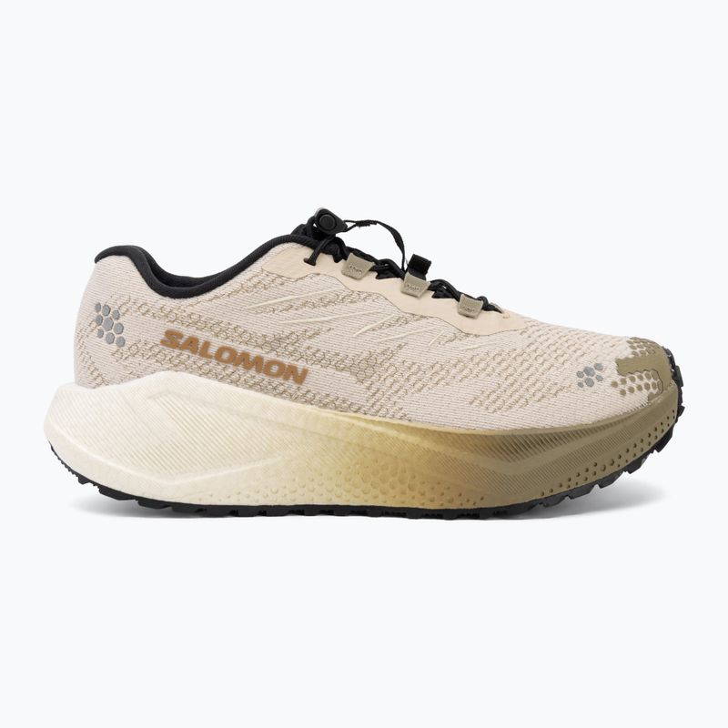 Buty do biegania damskie Salomon Aero Blaze 4 GRVL tapioca/vanilla ice 2