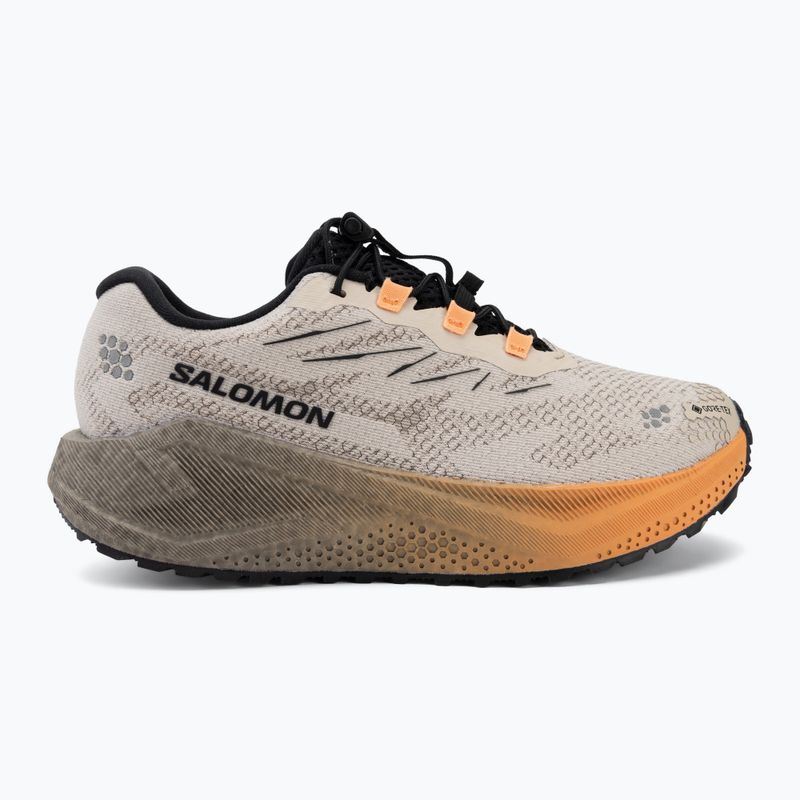 Buty do biegania damskie Salomon Aero Blaze 4 GRVL GTX rainy day/black 2