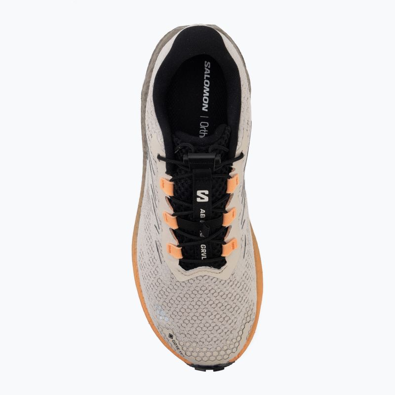 Buty do biegania damskie Salomon Aero Blaze 4 GRVL GTX rainy day/black 5