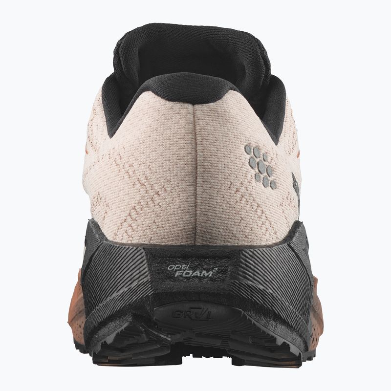 Buty do biegania męskie Salomon Aero Blaze 4 GRVL GTX vanilla ice/black 2